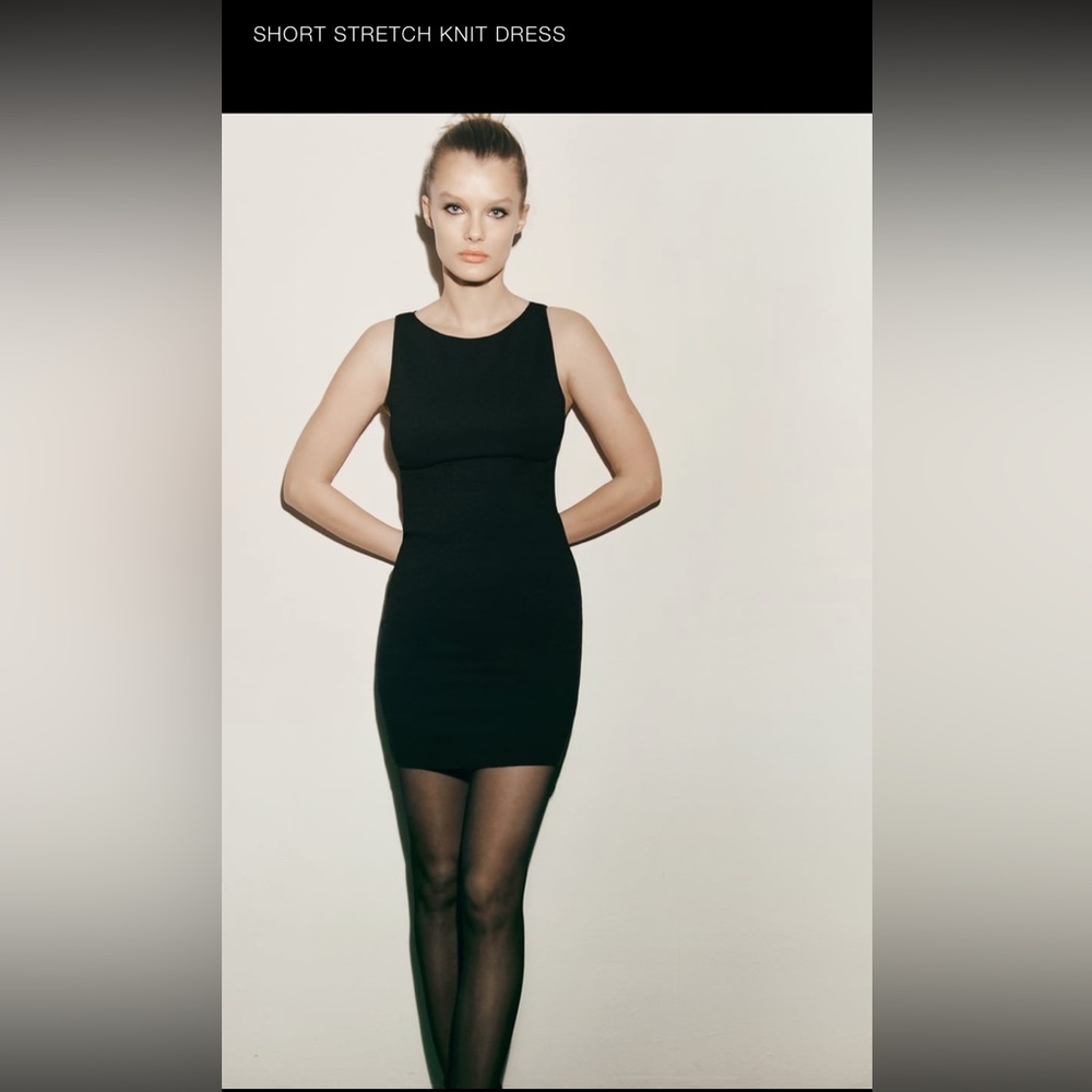 Zara Short Stretch Mini Dress